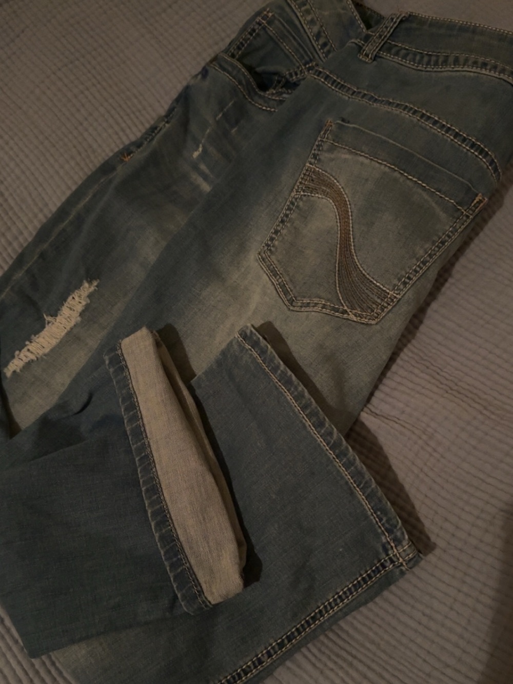 Lane Bryant Capri/Crops